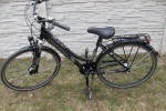 Rower Triumph PS 137