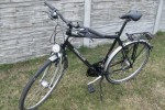 Rower Hercules Premium