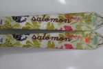 narty SALOMON TOPAZ SKIS 166cm