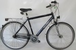 rower RALEIGH UNICO PLUS