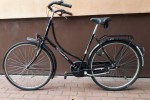Damka holenderska Retro 28"