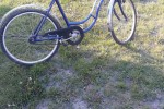 rower damka