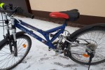 Rower Cadex