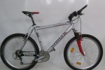 rower STAIGER silverstone
