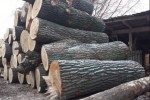 Sprzedam olszyny- drzewo na palety