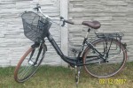 Rower Triumph Retro Super Bike